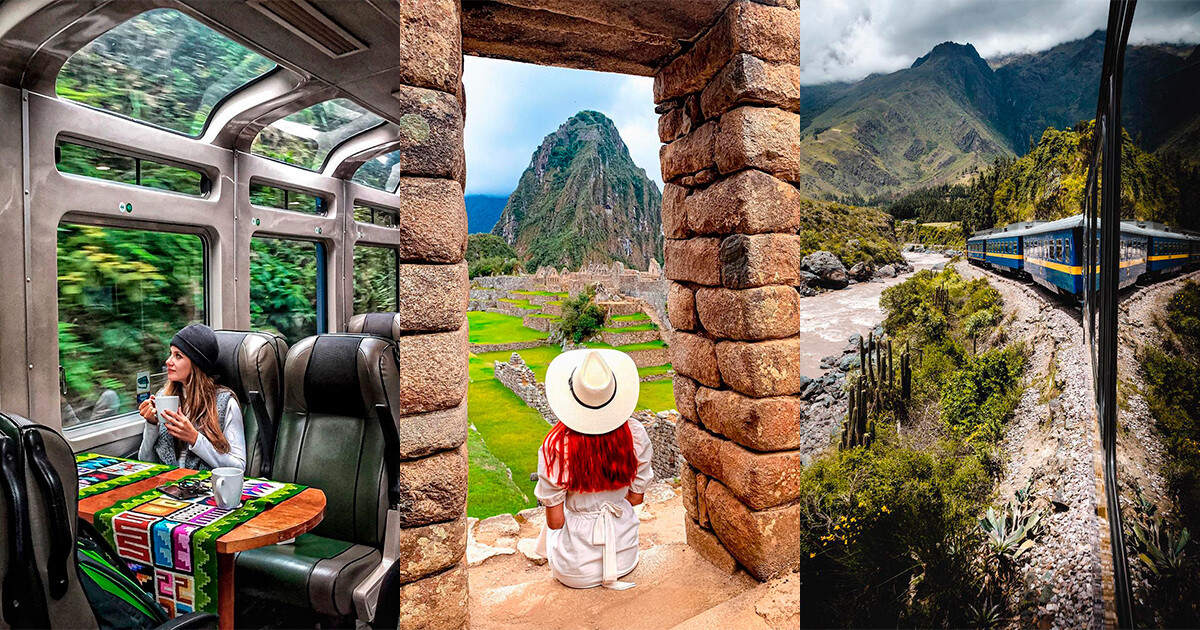 Tren en la selva a Machu Picchu